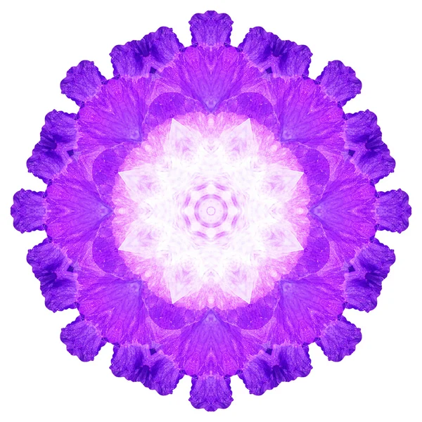 Mandala flor aislada sobre fondo blanco — Foto de Stock