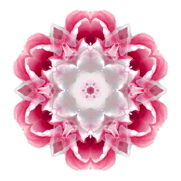 Flower mandala isolated on white background — Stock Photo, Image