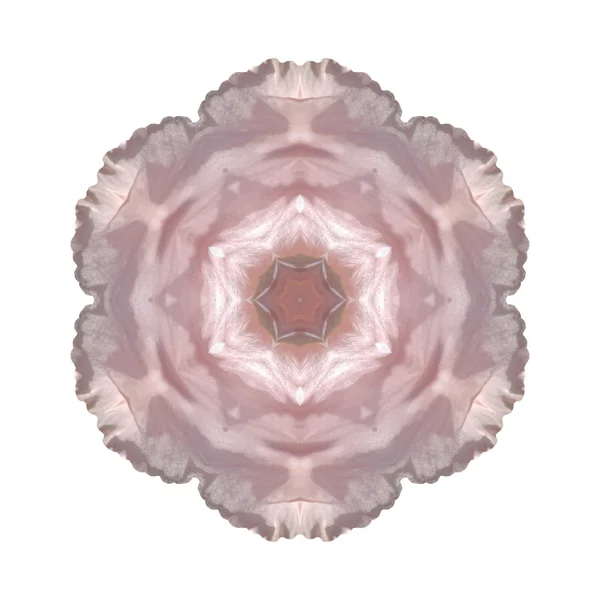 Mandala fleur isolé sur fond blanc — Photo