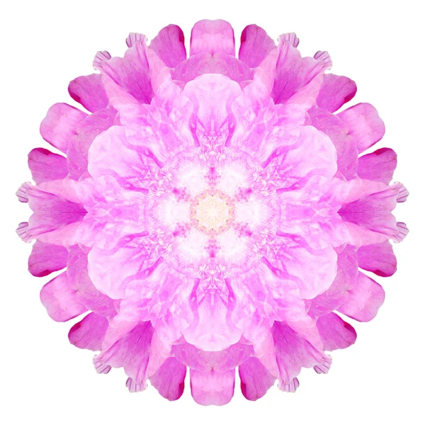 Beyaz arka plan üzerinde izole çiçek mandala