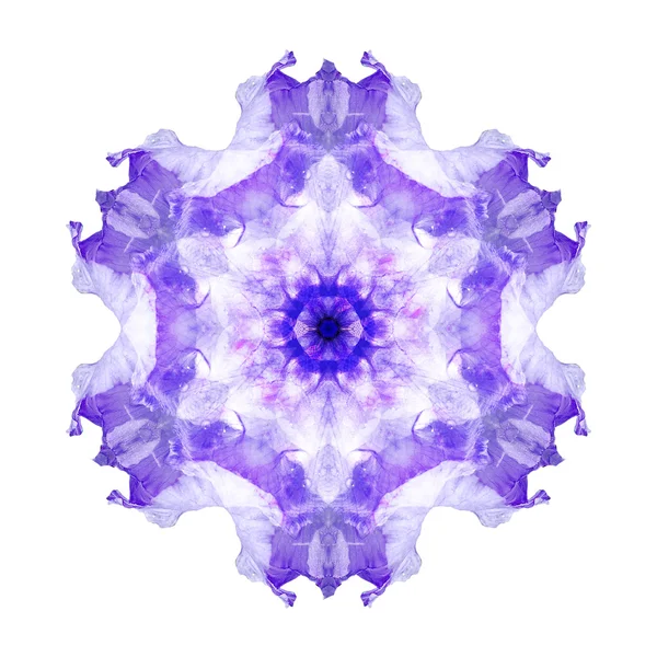 Mandala fleur isolé sur fond blanc — Photo