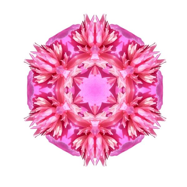 Flower mandala isolated on white background — Stock Photo, Image