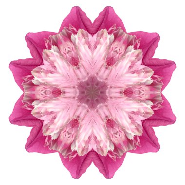 Beyaz arka plan üzerinde izole çiçek mandala