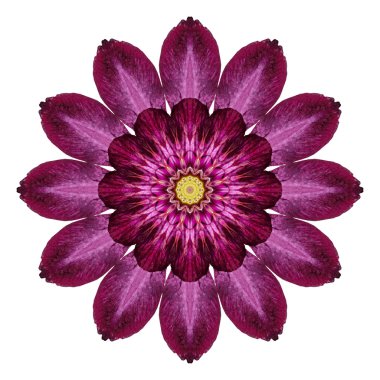 Beyaz arka plan üzerinde izole çiçek mandala