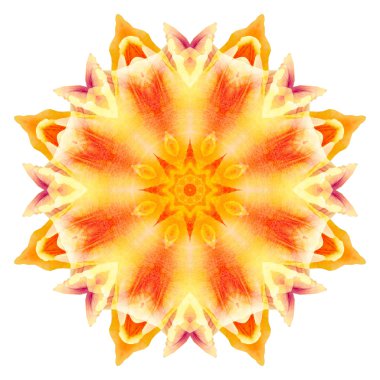 Beyaz arka plan üzerinde izole çiçek mandala