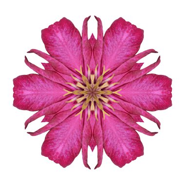 Beyaz arka plan üzerinde izole çiçek mandala