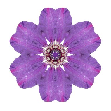 Beyaz arka plan üzerinde izole çiçek mandala