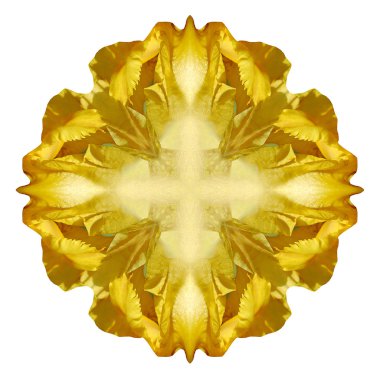 Beyaz arka plan üzerinde izole çiçek mandala