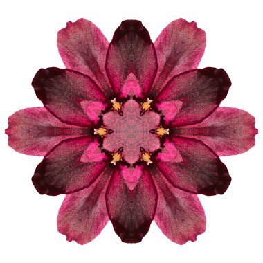 Beyaz arka plan üzerinde izole çiçek mandala