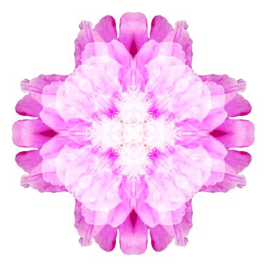 Beyaz arka plan üzerinde izole çiçek mandala