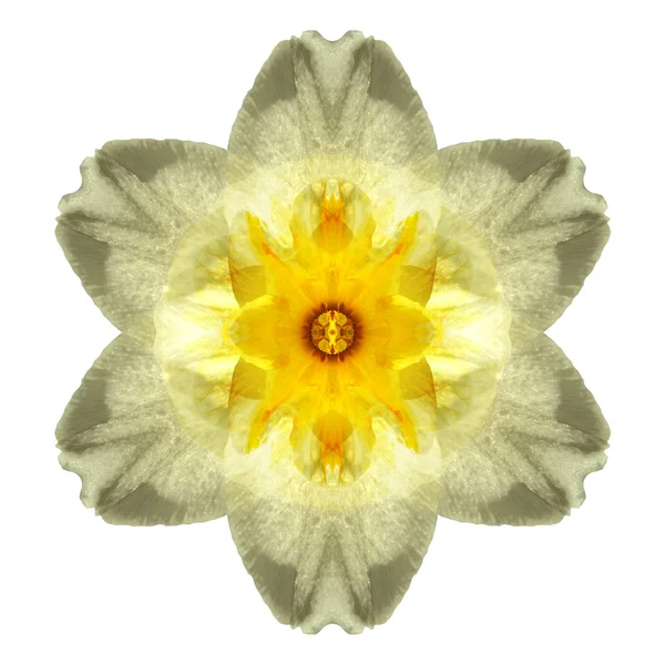 Mandala fleur isolé sur fond blanc — Photo