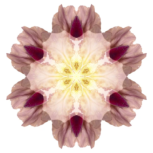 Blomma mandala isolerad på vit bakgrund — Stockfoto