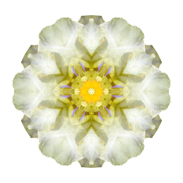 Beyaz arka plan üzerinde izole çiçek mandala — Stok fotoğraf