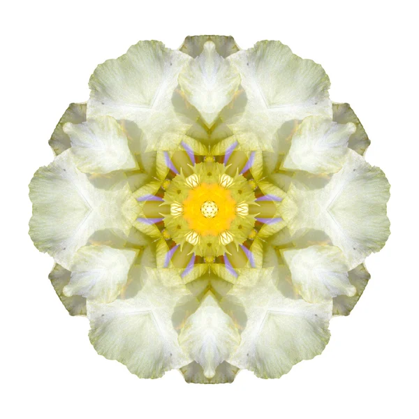 Mandala flor aislada sobre fondo blanco — Foto de Stock