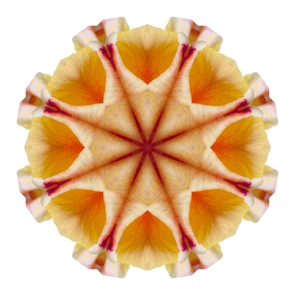 Mandala fiore isolato su sfondo bianco — Foto Stock