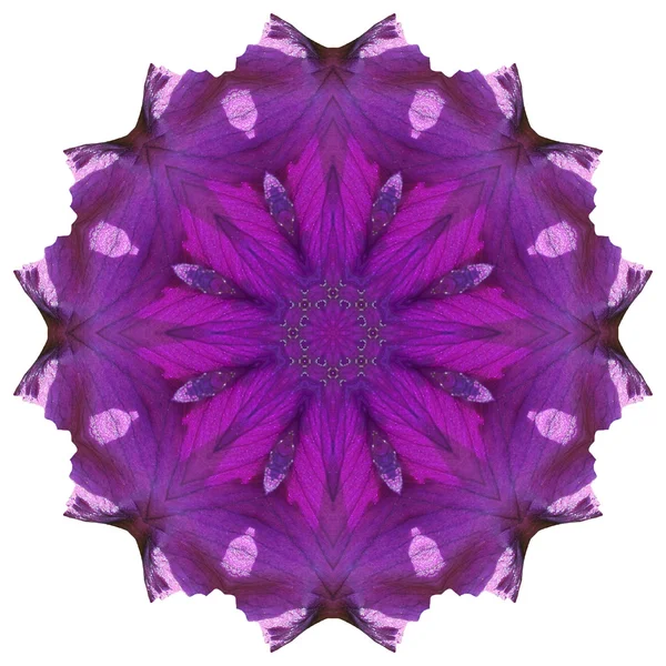 Mandala fleur isolé sur fond blanc — Photo