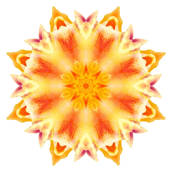 Flower mandala isolated on white background — Stock Photo, Image