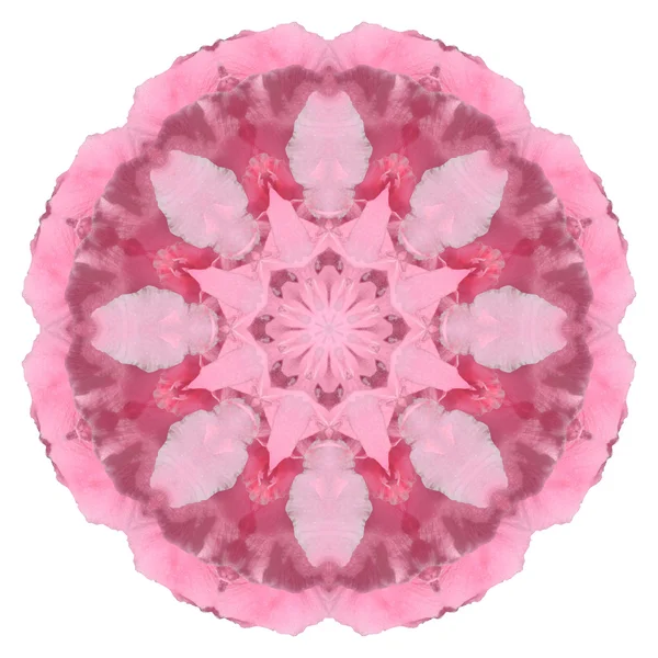Mandala fiore isolato su sfondo bianco — Foto Stock