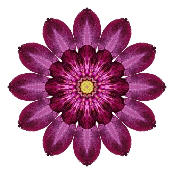 Blume Mandala isoliert auf weißem Hintergrund — Stockfoto