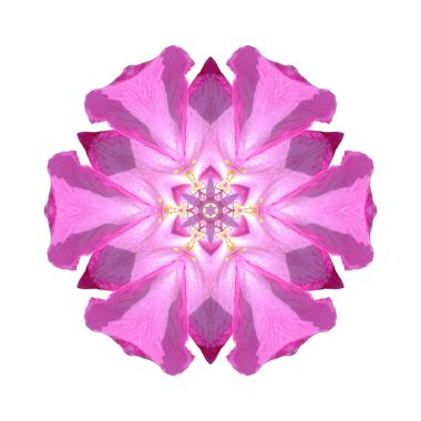 Beyaz arka plan üzerinde izole çiçek mandala