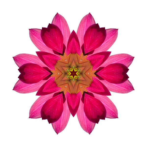 Flower mandala isolated on white background — Stock Photo, Image