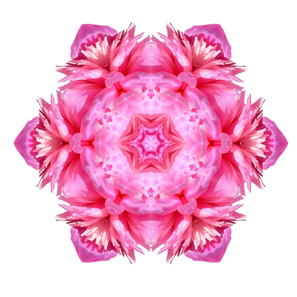 Blume Mandala isoliert auf weißem Hintergrund — Stockfoto