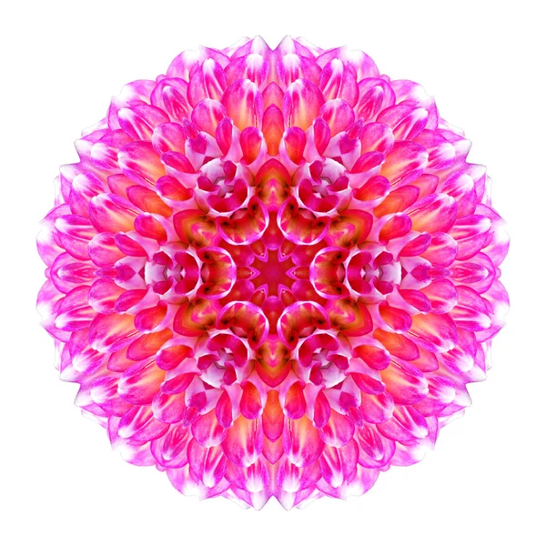 Mandala flor aislada sobre fondo blanco — Foto de Stock