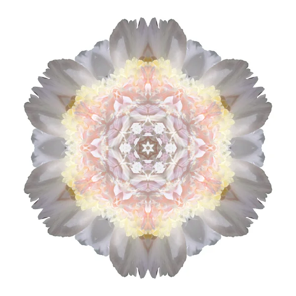 Mandala flor aislada sobre fondo blanco — Foto de Stock