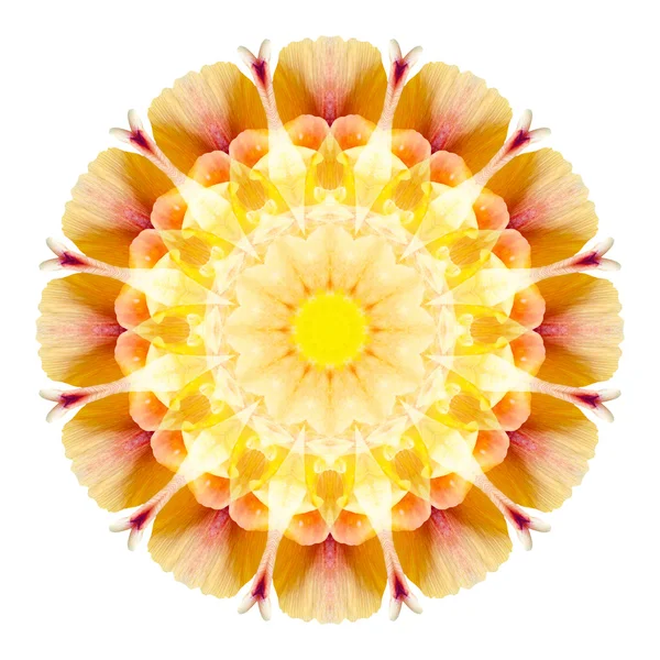 Blomma mandala isolerad på vit bakgrund — Stockfoto