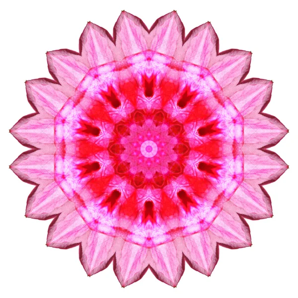 Flower mandala isolated on white background — Stock Photo, Image