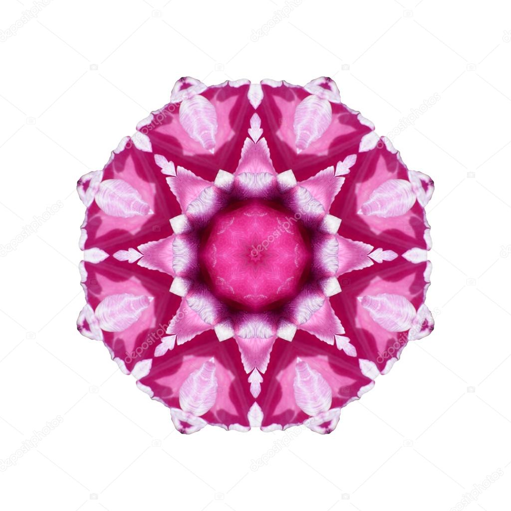 Flower mandala isolated on white background