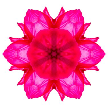 Beyaz arka plan üzerinde izole çiçek mandala