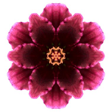 Beyaz arka plan üzerinde izole çiçek mandala