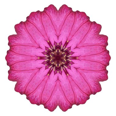 Beyaz arka plan üzerinde izole çiçek mandala