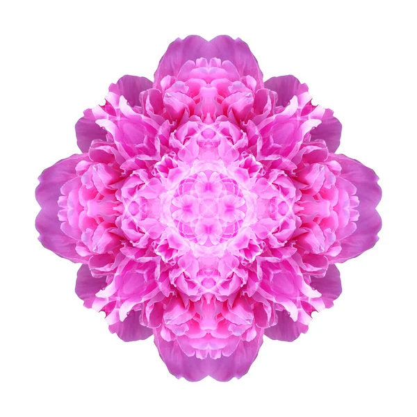 Mandala flor aislada sobre fondo blanco — Foto de Stock