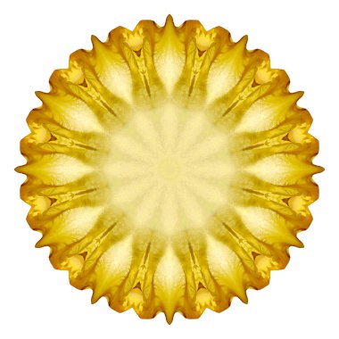 Beyaz arka plan üzerinde izole çiçek mandala