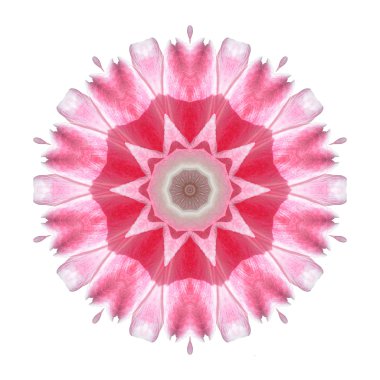 Beyaz arka plan üzerinde izole çiçek mandala