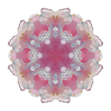 Beyaz arka plan üzerinde izole çiçek mandala