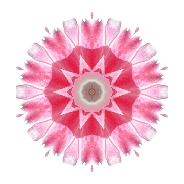 Blume Mandala isoliert auf weißem Hintergrund — Stockfoto