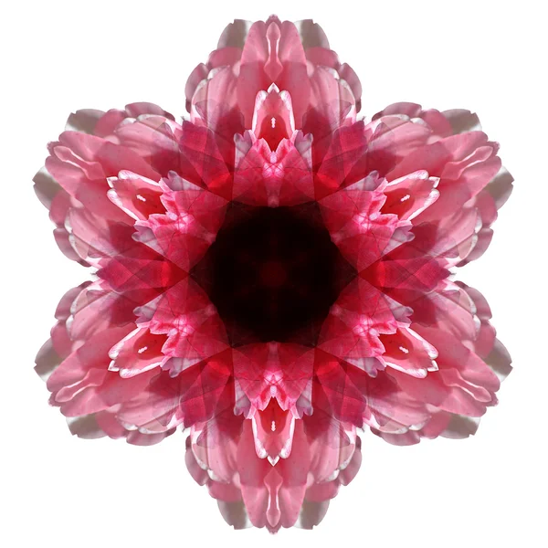 Blume Mandala isoliert auf weißem Hintergrund — Stockfoto