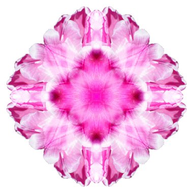 Beyaz arka plan üzerinde izole çiçek mandala