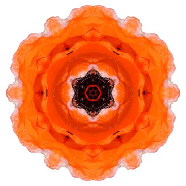 Beyaz arka plan üzerinde izole çiçek mandala