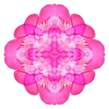 Beyaz arka plan üzerinde izole çiçek mandala