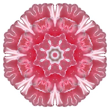 Beyaz arka plan üzerinde izole çiçek mandala