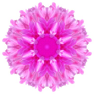 Beyaz arka plan üzerinde izole çiçek mandala