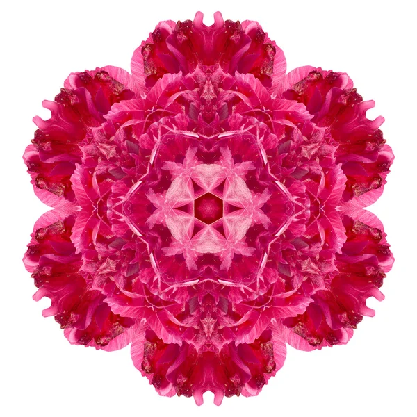 Beyaz arka plan üzerinde izole çiçek mandala