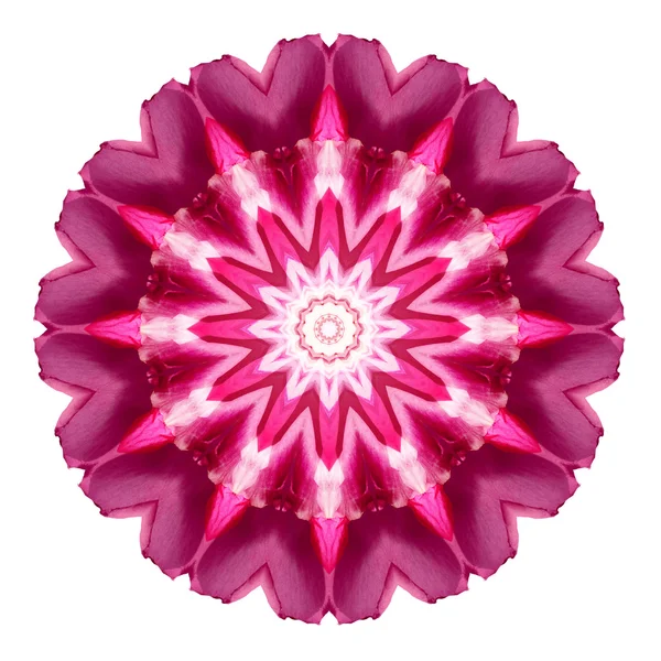 Blume Mandala isoliert auf weißem Hintergrund — Stockfoto