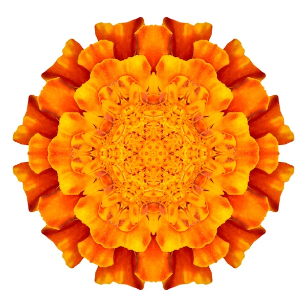 Flower mandala isolated on white background — Stock Photo, Image