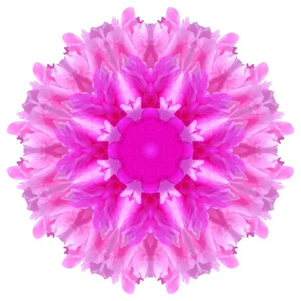 Flower mandala isolated on white background — Stock Photo, Image