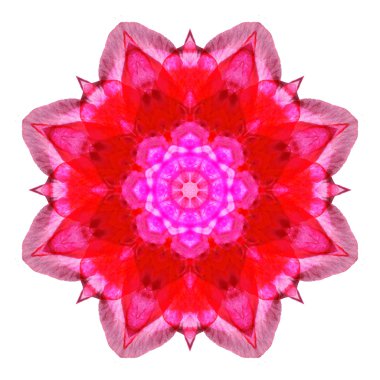 Beyaz arka plan üzerinde izole çiçek mandala